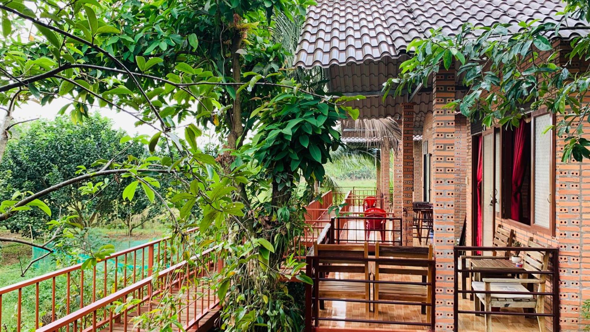 Gibbon Singing Home Stay Quan Tom Εξωτερικό φωτογραφία
